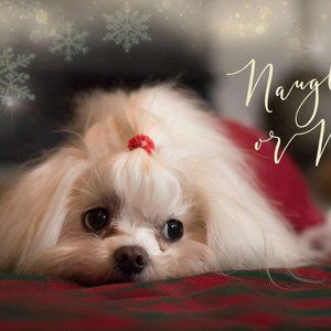 Meet your Posher, Herbiesales